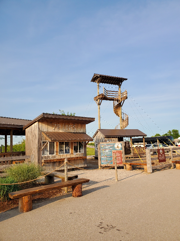 Zip line entrance