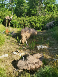 outdoor exhibit for Big Bone Lick