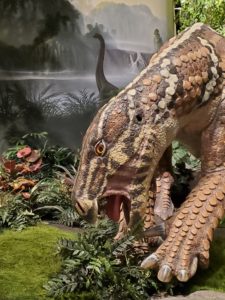 dinosaur exhibit at the creation museum