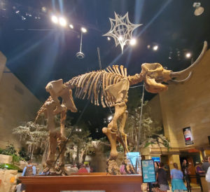 mastadon skeleton in creation museum lobby