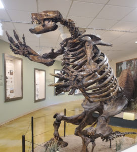 Ground Sloth Skeleton at Big Bone Lick museum