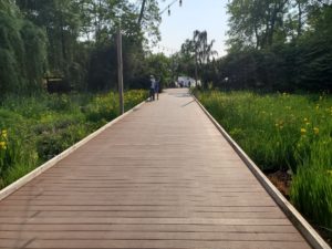 wetland garden bridge