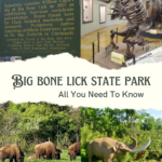 a collection of images from Big Bone State Park