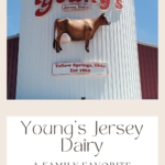 cow sign for Young's Jersey Dairy