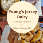 collection of picutes: ice cream, goat, cheese curds, cow sign for young's jersey dairy