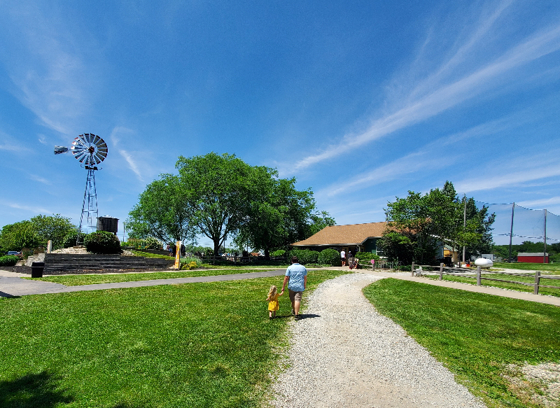 father and toddler walking toward a windmill