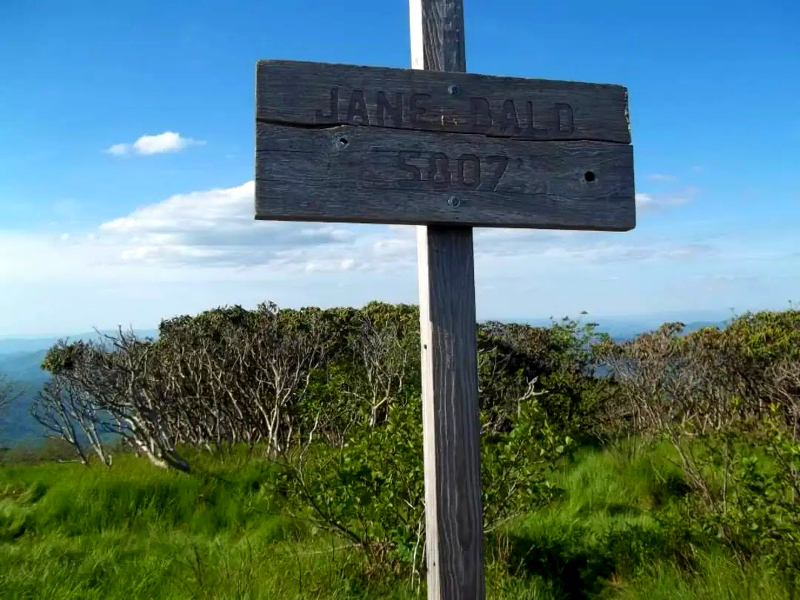 a sign signaling jane bald