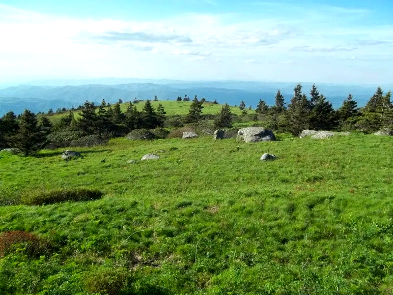 boulders and lush grass on top of the bald summit of grassy ridge