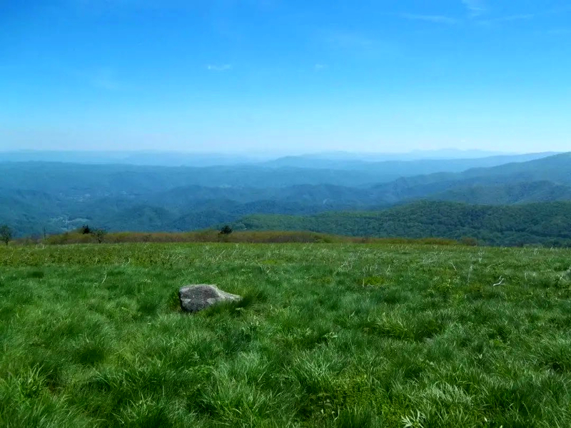 a lush grassy summit