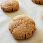 freshly baked spiced sugar cookie