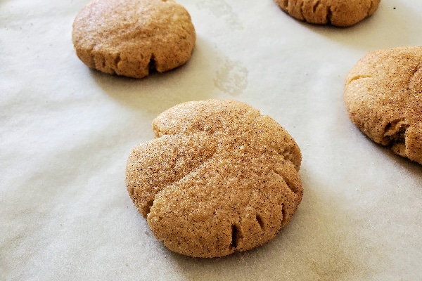 freshly baked spiced sugar cookie