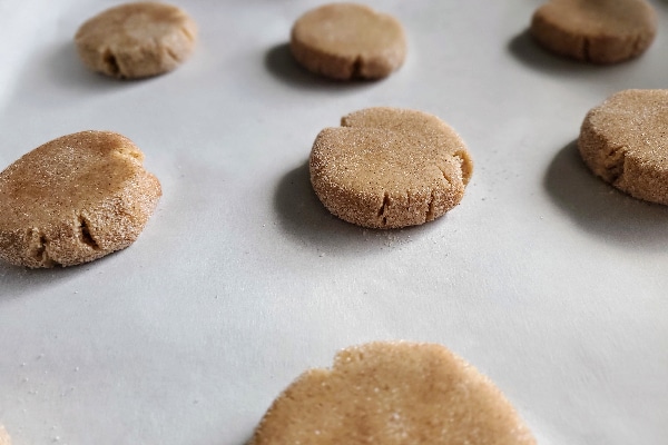 spiced sugar cookie ready to bake