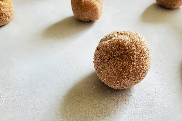 spiced sugar cookie dough ball rolled in cinnamon sugar