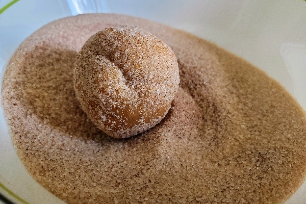 spiced sugar cookie dough ball rolled in cinnamon sugar