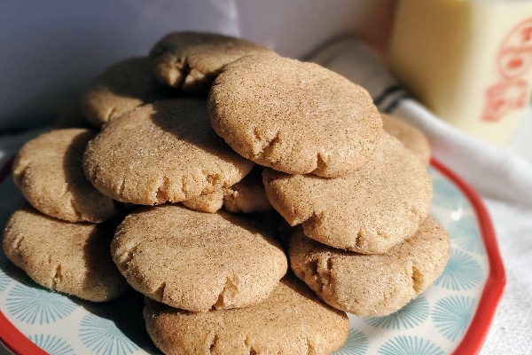 spiced sugar cookie dough