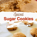 spiced sugar cookie dough